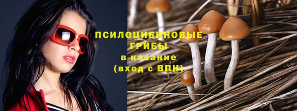 прущий лед Абдулино