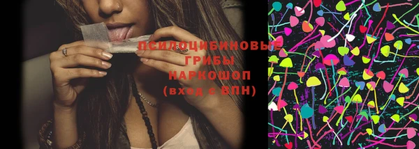 стафф Валдай