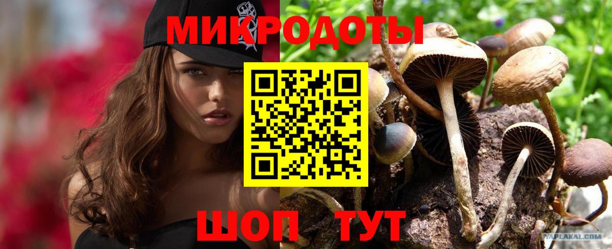 Кизляр  Псилоцибиновые грибы ЛСД  Галлюциногенные грибы Psilocybe  Вход с VPN 