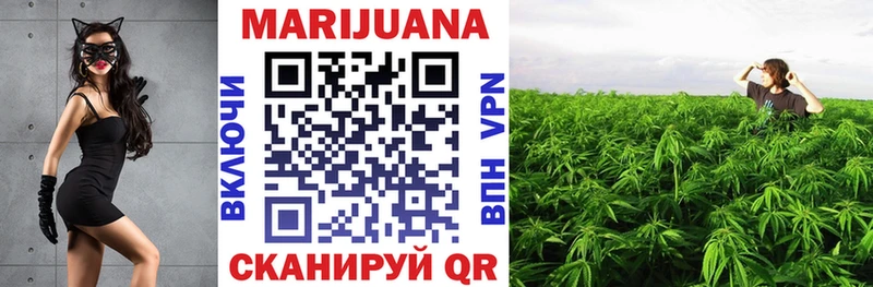 Каннабис SATIVA & INDICA  Кизляр 